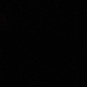 Meet your Posher, Abigail